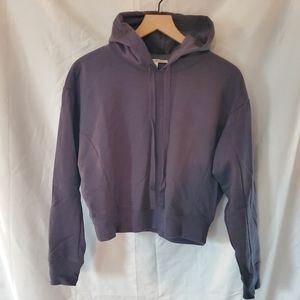 Express One Eleven Cropped Hooded Sweatshirt